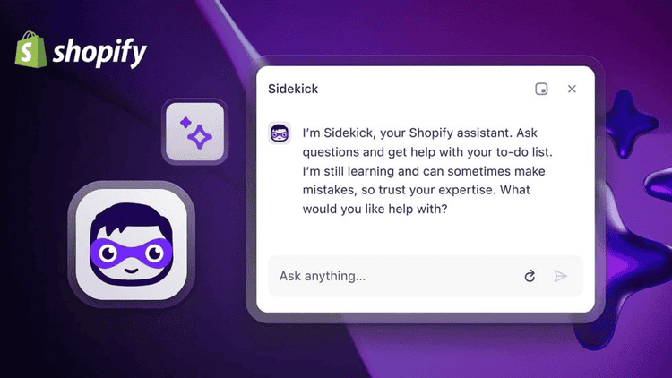 medium_shopify_sidekick_978x550_4369c53e34.png